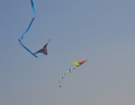 říjen 2012 - Drakiáda
