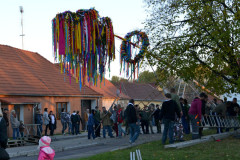 Martinské hody, stavění máje 9.11.2012