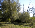 podzim 2012 - Údržba zeleně