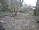 podzim 2012 - Údržba zeleně