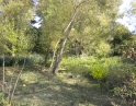 podzim 2012 - Údržba zeleně