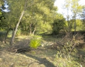 podzim 2012 - Údržba zeleně