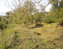 podzim 2012 - Údržba zeleně