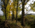 podzim 2012 - Údržba zeleně