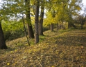 podzim 2012 - Údržba zeleně