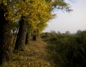podzim 2012 - Údržba zeleně