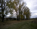 podzim 2012 - Údržba zeleně