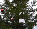 prosinec 2012 - Zahájení adventu