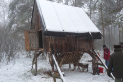 Společné krmení zvěře 24.12.2012