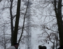 prosinec 2012 - Společné krmení zvěře