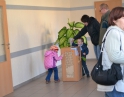 leden 2013 - Volba prezidenta republiky