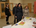 leden 2013 - Volba prezidenta republiky