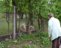 květen 2013 - Jarní výšlap s TJ Hodonice