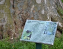 květen 2013 - Jarní výšlap s TJ Hodonice