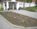 květen 2013 - Úklid a údržba zeleně