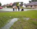 květen 2013 - Úklid a údržba zeleně