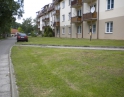květen 2013 - Úklid a údržba zeleně