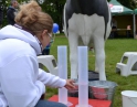 květen 2013 - Velký dětský den