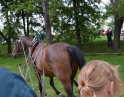 květen 2013 - Velký dětský den