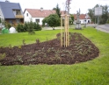 červen 2013 - Nová parková úprava u Pošty