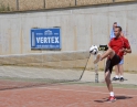 červenec 2013 - Nohejbal Open 2013