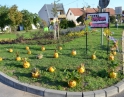 září 2013 - Podzimní den s dýněmi