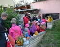 říjen 2013 - Táborák s dýňovými strašidýlky