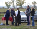 říjen 2013 - Drakiáda