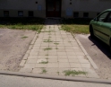 srpen - říjen 2013 - Rekonstrukce chodníků