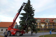 Stavění vánočních stromů 30.11.2013