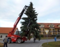 listopad 2013 - Stavění vánočního stromu u Obecního úřadu