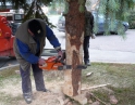 listopad 2013 - Stavění vánočního stromu u Obecního úřadu