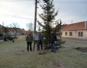 listopad 2013 - Stavění vánočního stromu u pošty