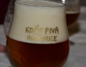 únor 2014 - Pivní korbel