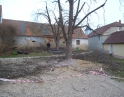 březen 2014 - Prořezání kaštanů