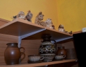 březen 2014 - Draní peří pro děti