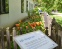 květen 2014 - Jarní výšlap s TJ Hodonice