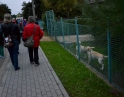 září 2014 - Lampionový průvod