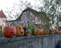 říjen 2014 - Dýňové odpoledne