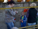 říjen 2014 - Dýňové odpoledne