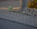 říjen 2014 - Dýňové odpoledne