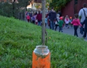 říjen 2014 - Dýňové odpoledne