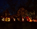 říjen 2014 - Dýňové odpoledne