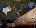 listopad 2014 - Martinské hody
