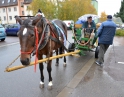listopad 2014 - Martinské hody