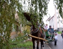 listopad 2014 - Martinské hody
