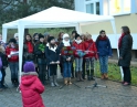 listopad 2014 - Vánoční vesnička