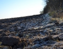 prosinec 2014 - Štědrovečerní krmení zvěře