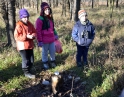 prosinec 2014 - Štědrovečerní krmení zvěře