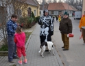 únor 2015 - Tradiční ostatky